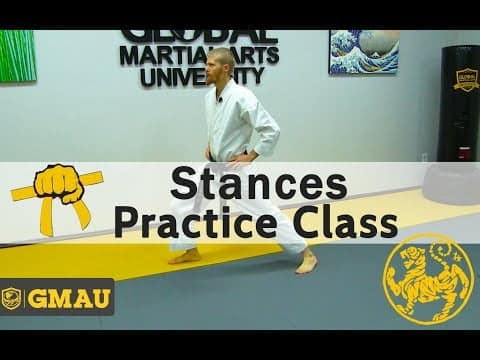 Understanding the Jr. Yellow Belt Stance in Karate