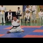 Inclusive Karate: Empowering Handicap Kids with Martial Arts