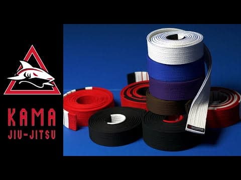 Understanding the Gracie Jiu Jitsu Belt System